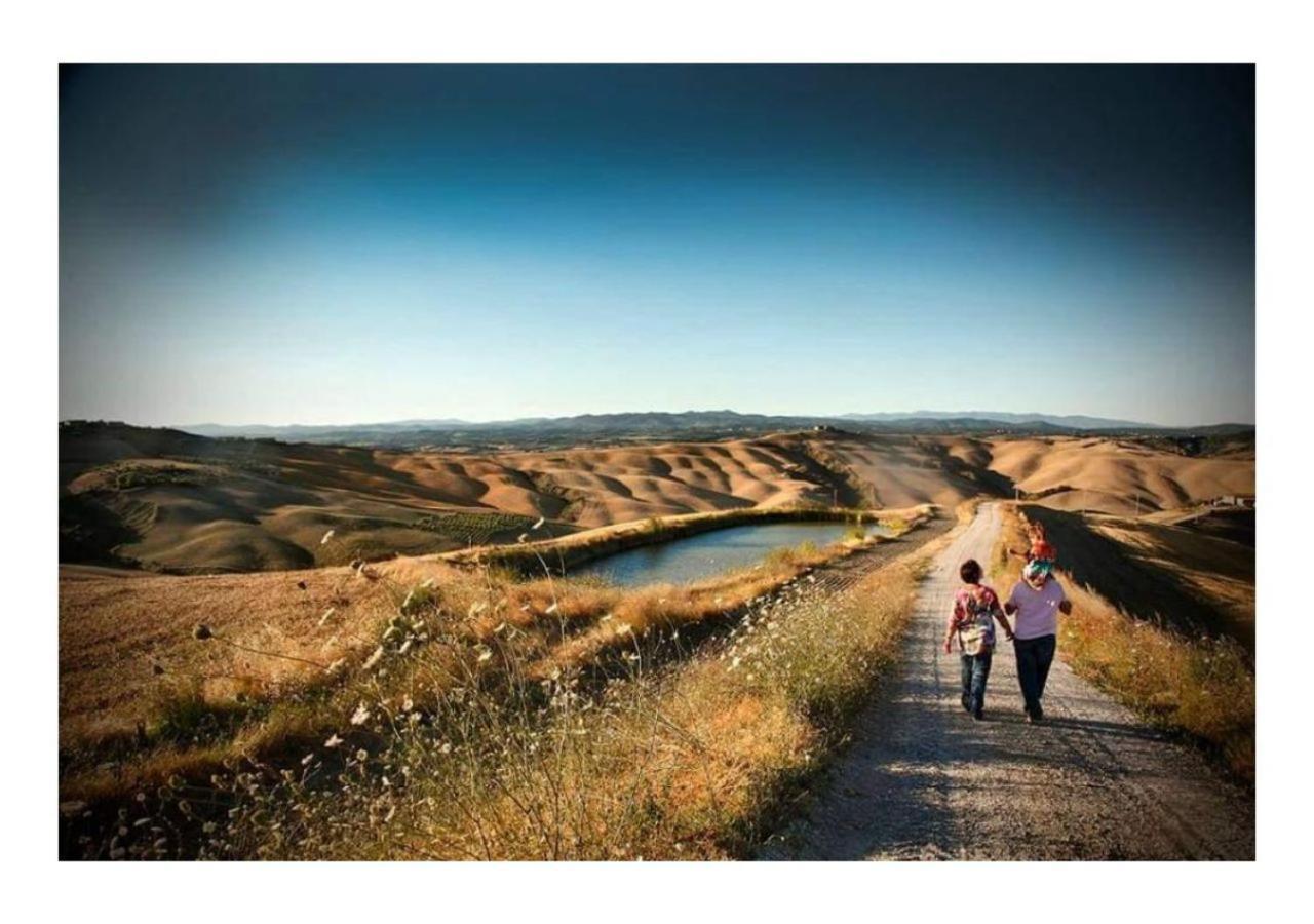 Agriturismo Le Crete - Appartamenti 阿夏诺 外观 照片