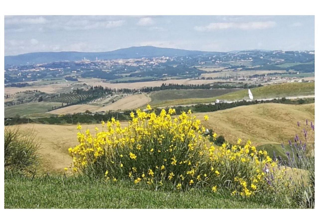Agriturismo Le Crete - Appartamenti 阿夏诺 外观 照片